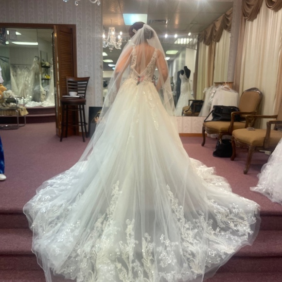 Demetrios 1220 Wedding Dress and detachable train - Picture 5 of 5